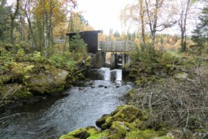 Sør-Mesna